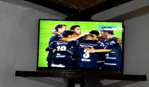 TV