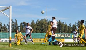 hvegavsflandria int