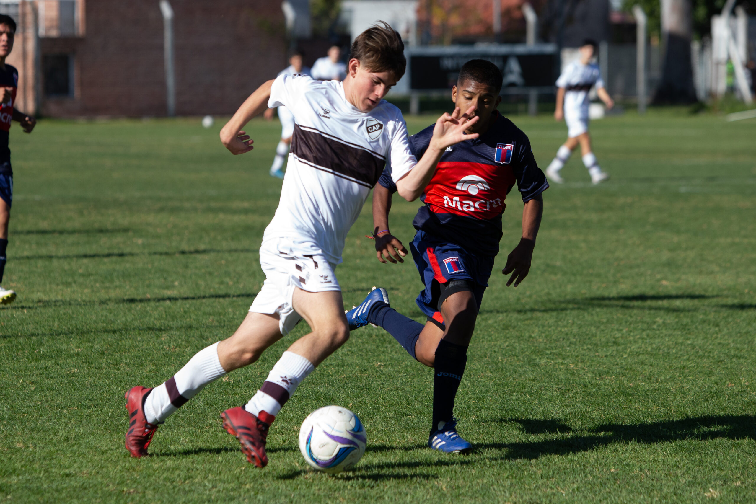 JUVENILES EN VIVO VS. PLATENSE 