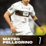 7. Pellegrino