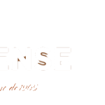 capcampeonlogofooter
